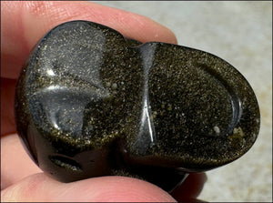 Golden SHEEN OBSIDIAN Crystal Skull - Clarity, Scrying