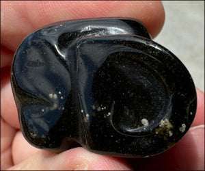 Golden SHEEN OBSIDIAN Crystal Skull - Clarity, Scrying