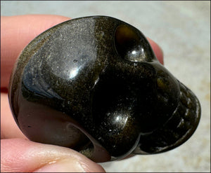 Golden SHEEN OBSIDIAN Crystal Skull - Clarity, Scrying