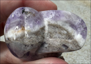 Chevron Amethyst Crystal Skull - Dream Work, Inner Journeying - with Synergy 7+yrs