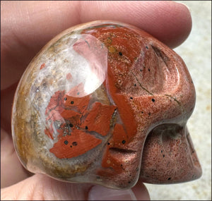 ~OOAK~ Red Silver Leaf Jasper CRYSTAL SKULL with Rutiles, Pyrite, LOTS of Agate