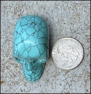 Sky Blue Turquoise HOWLITE Crystal Skull - with Synergy 7+ yrs