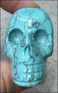 Sky Blue Turquoise HOWLITE Crystal Skull - with Synergy 7+ yrs