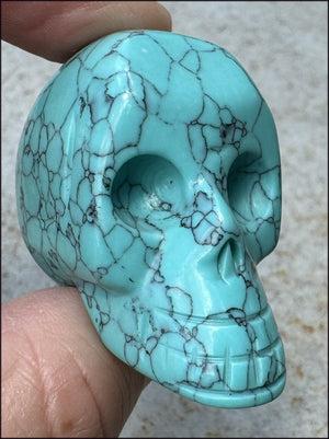 Sky Blue Turquoise HOWLITE Crystal Skull - with Synergy 7+ yrs