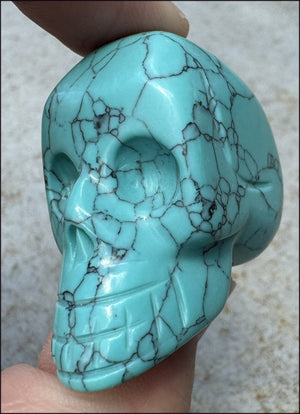 Sky Blue Turquoise HOWLITE Crystal Skull - with Synergy 7+ yrs