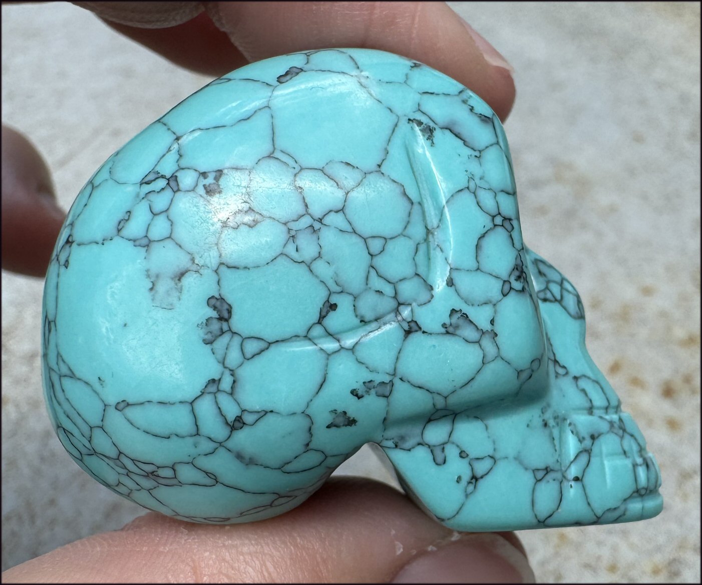 Sky Blue Turquoise HOWLITE Crystal Skull - with Synergy 7+ yrs