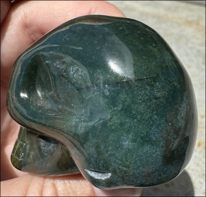 Bloodstone CRYSTAL SKULL - Emotional cleansing, Courage - with Synergy 10+ years