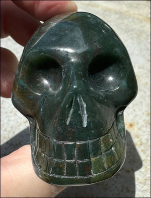 Bloodstone CRYSTAL SKULL - Emotional cleansing, Courage - with Synergy 10+ years