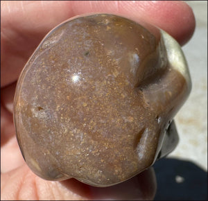 Rainbow Sardonyx Crystal SKULL - Stability, Strength - with Synergy 14+ years