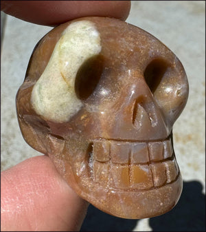 Rainbow Sardonyx Crystal SKULL - Stability, Strength - with Synergy 14+ years