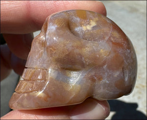 Rainbow Sardonyx Crystal SKULL - Stability, Strength - with Synergy 14+ years