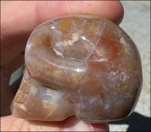 Rainbow Sardonyx Crystal SKULL - Stability, Strength - with Synergy 14+ years