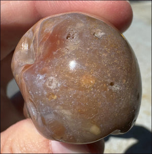 Rainbow Sardonyx Crystal SKULL - Stability, Strength - with Synergy 14+ years