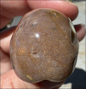 Rainbow Sardonyx Crystal SKULL - Stability, Strength - with Synergy 14+ years