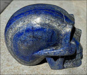 LifeSize Lapis Lazuli Crystal Skull with Highly Fluorescent UV Reactive Calcite inclusions