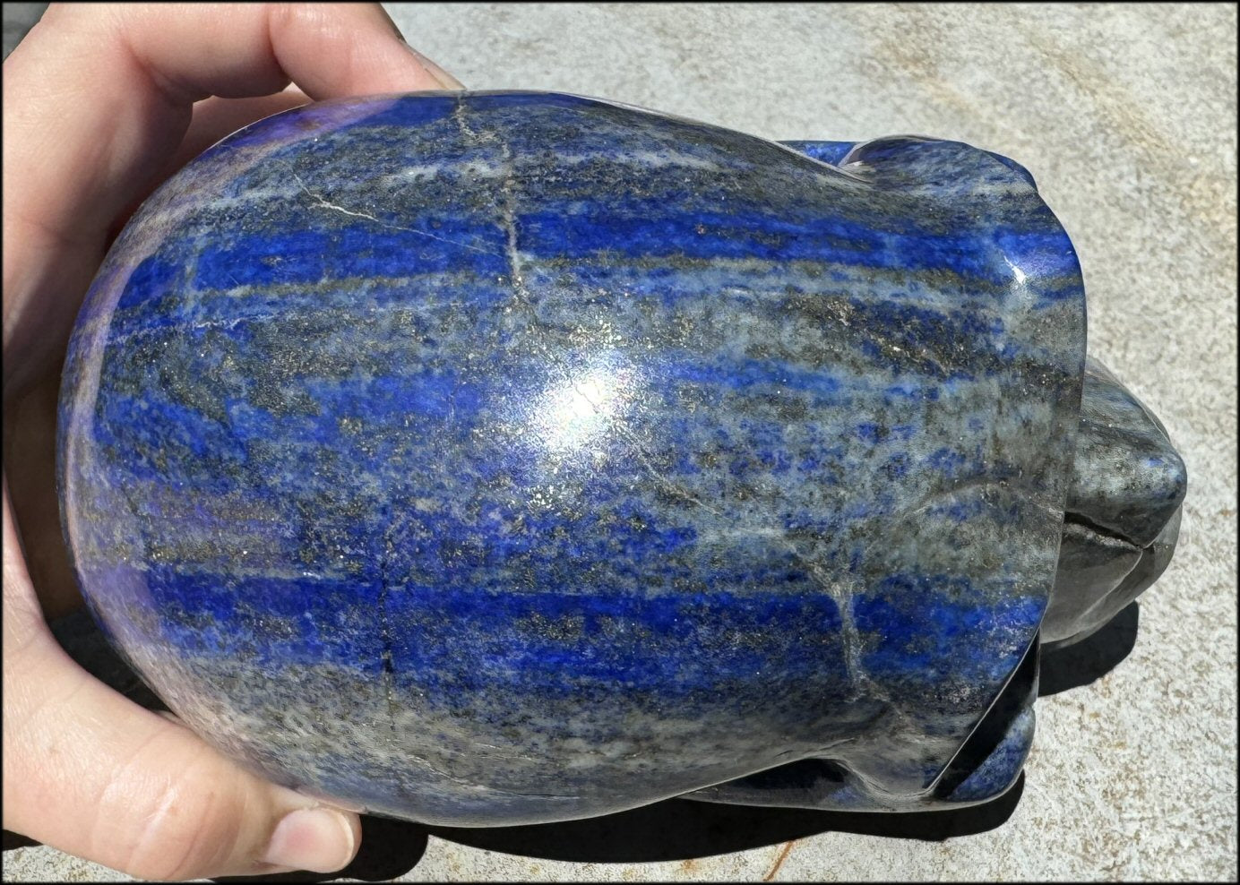 LifeSize Lapis Lazuli Crystal Skull with Highly Fluorescent UV Reactive Calcite inclusions