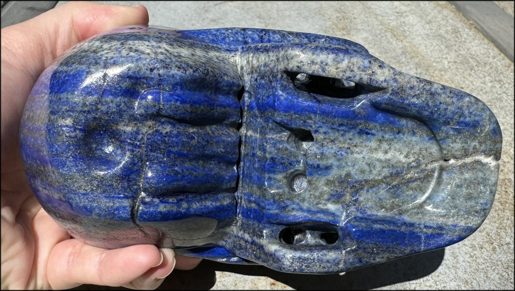 LifeSize Lapis Lazuli Crystal Skull with Highly Fluorescent UV Reactive Calcite inclusions