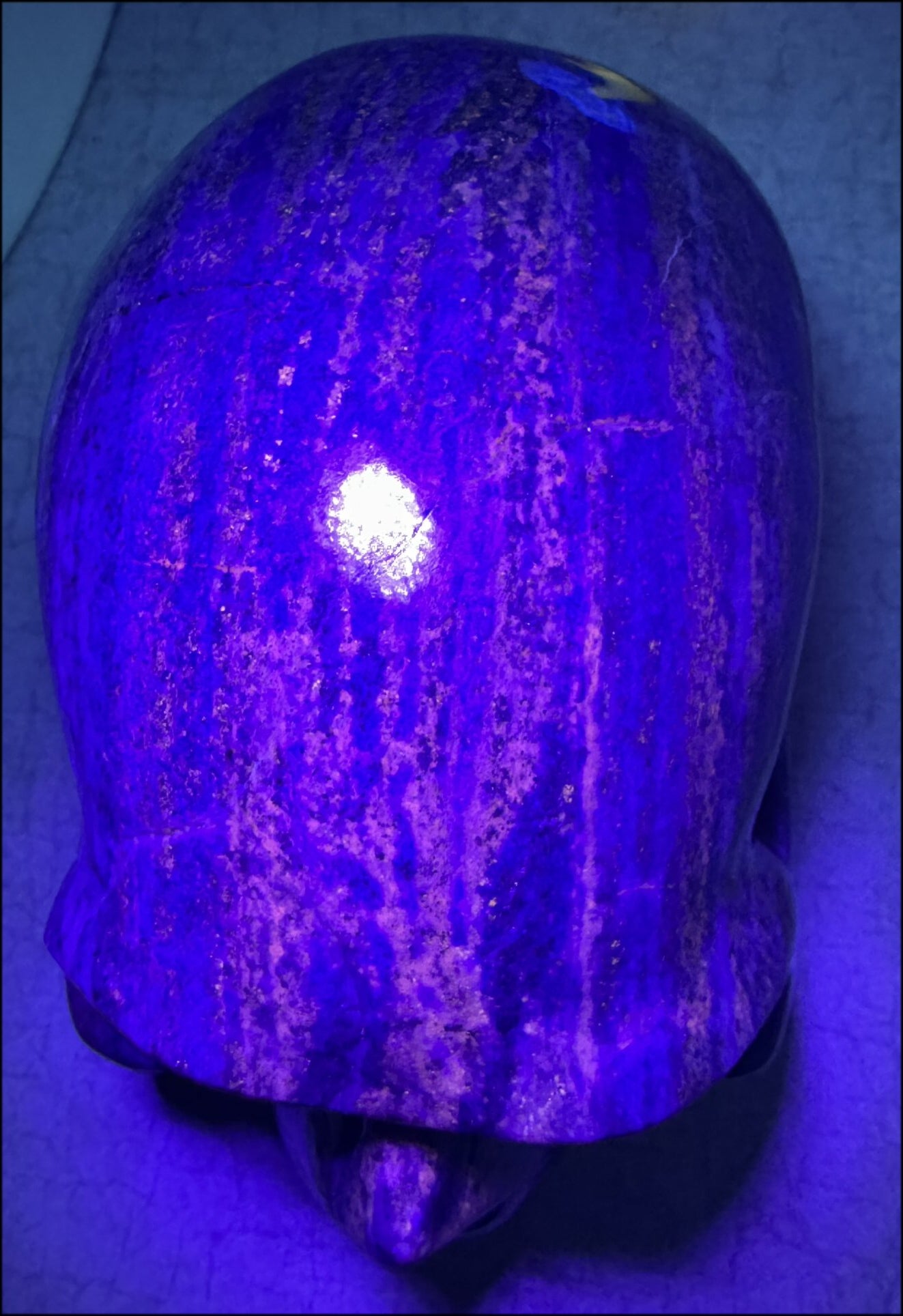 LifeSize Lapis Lazuli Crystal Skull with Highly Fluorescent UV Reactive Calcite inclusions