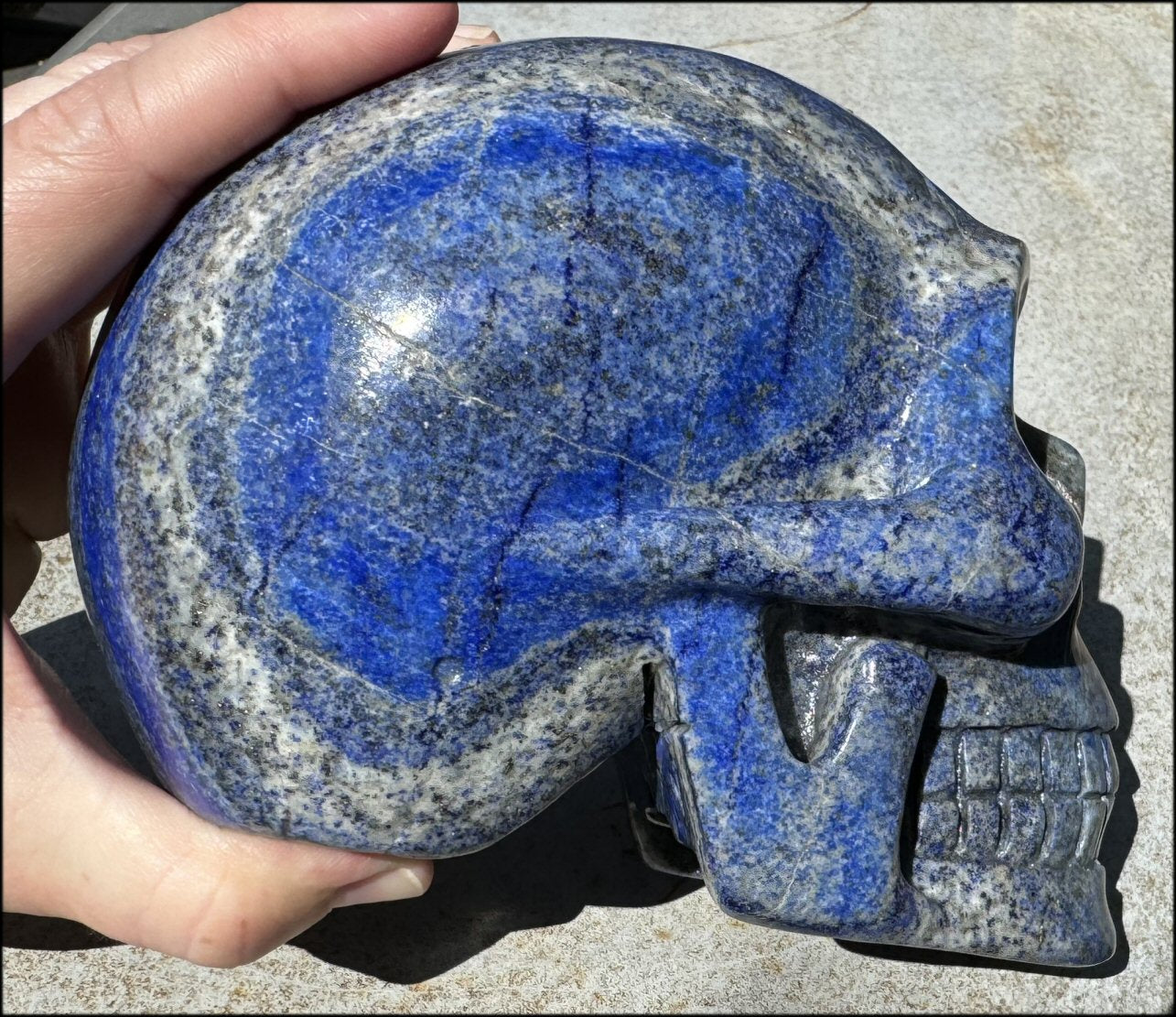 LifeSize Lapis Lazuli Crystal Skull with Highly Fluorescent UV Reactive Calcite inclusions