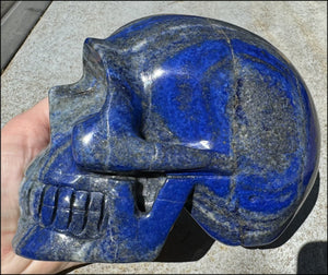 LifeSize Lapis Lazuli Crystal Skull with Highly Fluorescent UV Reactive Calcite inclusions