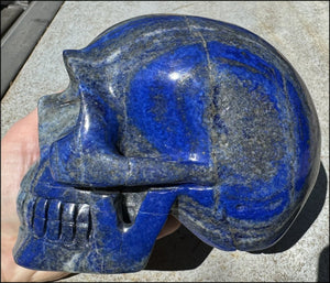 LifeSize Lapis Lazuli Crystal Skull with Highly Fluorescent UV Reactive Calcite inclusions