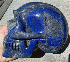 LifeSize Lapis Lazuli Crystal Skull with Highly Fluorescent UV Reactive Calcite inclusions