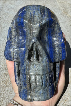 LifeSize Lapis Lazuli Crystal Skull with Highly Fluorescent UV Reactive Calcite inclusions