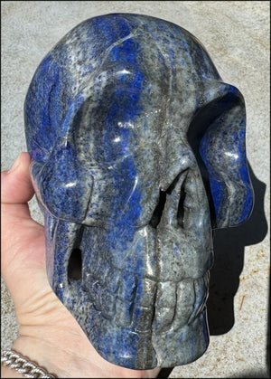 LifeSize Lapis Lazuli Crystal Skull with Highly Fluorescent UV Reactive Calcite inclusions