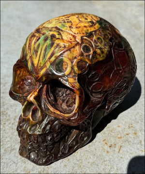 LifeSize Reconstituted Amber Crystal Skull with Celtic Knot Animals & Finger Labyrinths