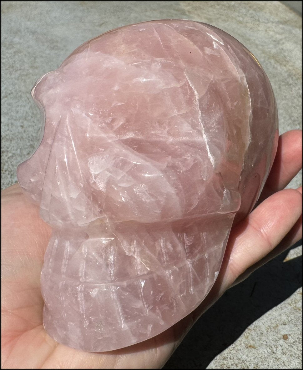 ~Retired~ Baby LifeSize MAYAN SHAMAN STYLE Rose Quartz Crystal Skull - with Synergy 16+ years