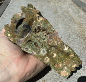 3XL Rainforest Jasper DRAGON Crystal Skull with Agate "Windows", Vugs