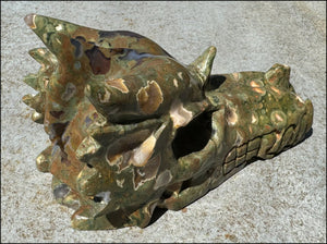 3XL Rainforest Jasper DRAGON Crystal Skull with Agate "Windows", Vugs