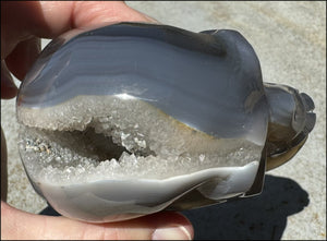 XL Agate GEODE Crystal Skull with Fantastic large Druzy Lined VUG!