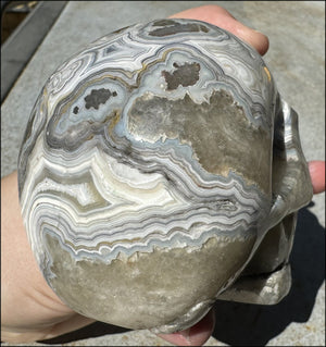 2XL Crazy Lace Agate CRYSTAL SKULL with Fantastic Banding - Laughter!