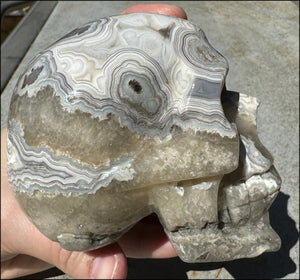 2XL Crazy Lace Agate CRYSTAL SKULL with Fantastic Banding - Laughter!