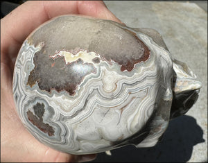 2XL Crazy Lace Agate CRYSTAL SKULL with Fantastic Banding - Laughter!