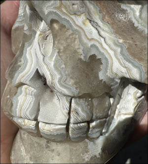 2XL Crazy Lace Agate CRYSTAL SKULL with Fantastic Banding - Laughter!