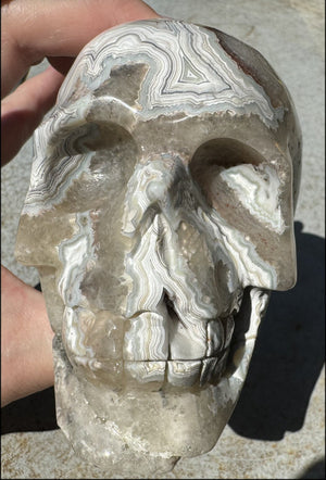 2XL Crazy Lace Agate CRYSTAL SKULL with Fantastic Banding - Laughter!