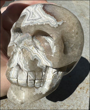 2XL Crazy Lace Agate CRYSTAL SKULL with Fantastic Banding - Laughter!