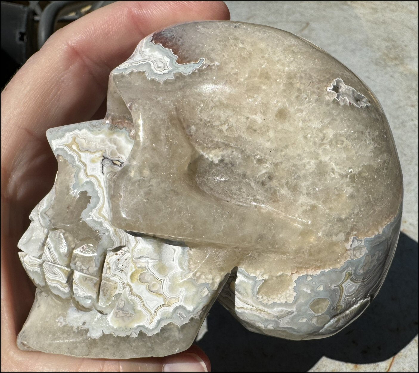 2XL Crazy Lace Agate CRYSTAL SKULL with Fantastic Banding - Laughter!