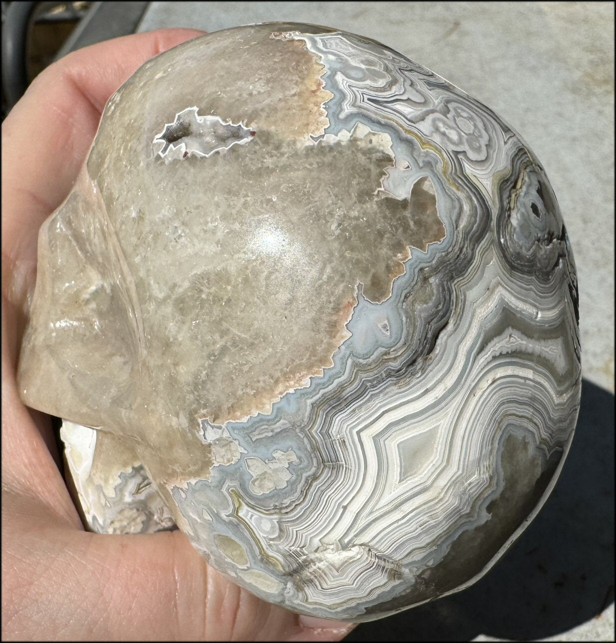 2XL Crazy Lace Agate CRYSTAL SKULL with Fantastic Banding - Laughter!