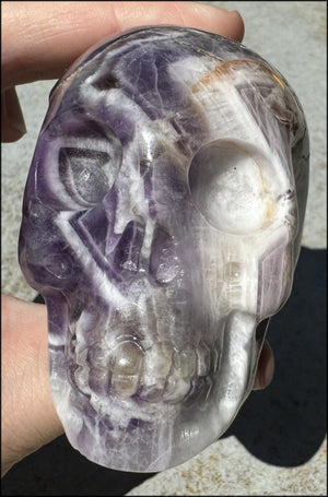 XL Synergy 7 / "Melody's Stone" CRYSTAL SKULL - Healing work, Balance Chakras