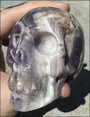 XL Synergy 7 / "Melody's Stone" CRYSTAL SKULL - Healing work, Balance Chakras