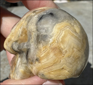 Crazy Lace Agate CRYSTAL SKULL - Laughter, Balance