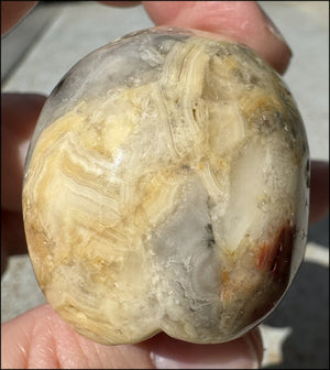 Crazy Lace Agate CRYSTAL SKULL - Laughter, Balance