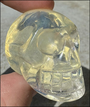 Golden "Andara" Obsidian CRYSTAL SKULL - Assist on working thru motional trauma