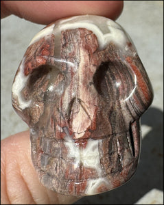 Pink + Red Silver Leaf Jasper CRYSTAL SKULL with Fantastic Agate inclusions