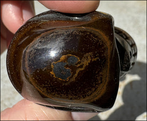 ~Fantastic SHIMMER~ Golden Tiger Eye CRYSTAL SKULL - with Synergy 14+ years