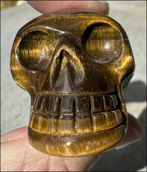 ~Fantastic SHIMMER~ Golden Tiger Eye CRYSTAL SKULL - with Synergy 14+ years