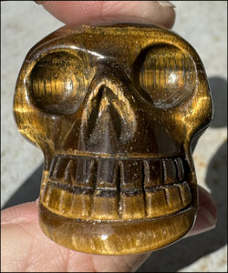 ~Fantastic SHIMMER~ Golden Tiger Eye CRYSTAL SKULL - with Synergy 14+ years